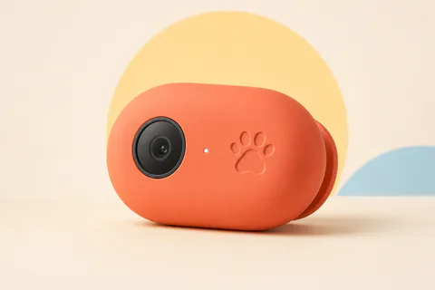 petting one coral smart collar companion